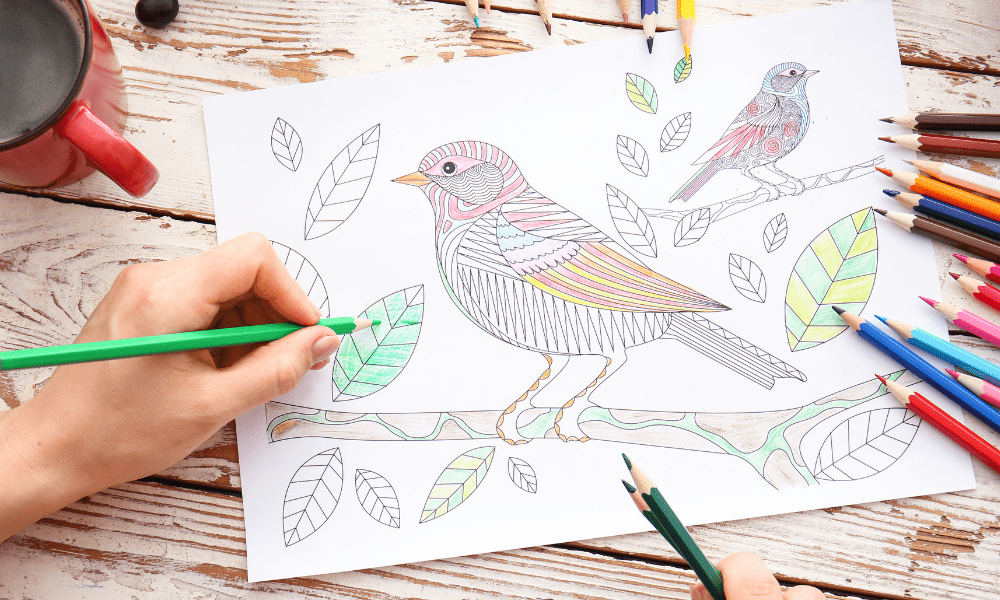 Zentagling this spring time, drawing of bird being coloured in